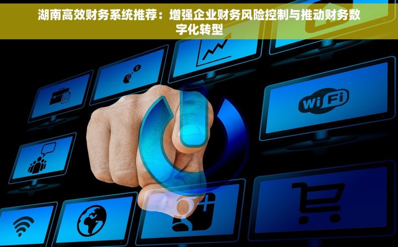 湖南高效财务系统推荐：增强企业财务风险控制与推动财务数字化转型