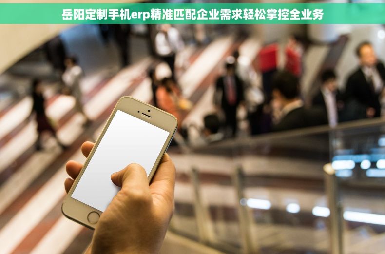 岳阳定制手机erp精准匹配企业需求轻松掌控全业务