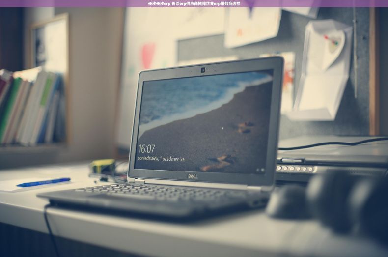 长沙长沙erp 长沙erp供应商推荐企业erp服务商选择 长沙长沙erp 长沙erp供应商推荐企业erp服务商选择