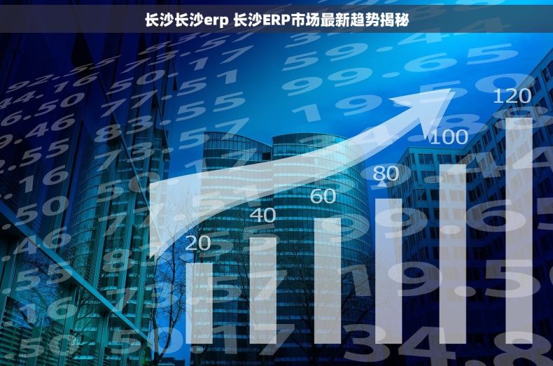 长沙长沙erp 长沙ERP市场最新趋势揭秘