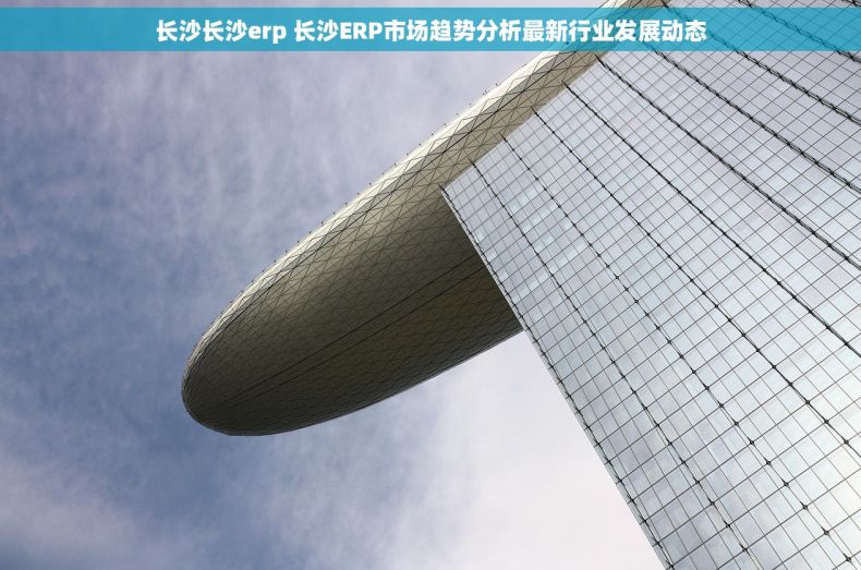 长沙长沙erp 长沙ERP市场趋势分析最新行业发展动态
