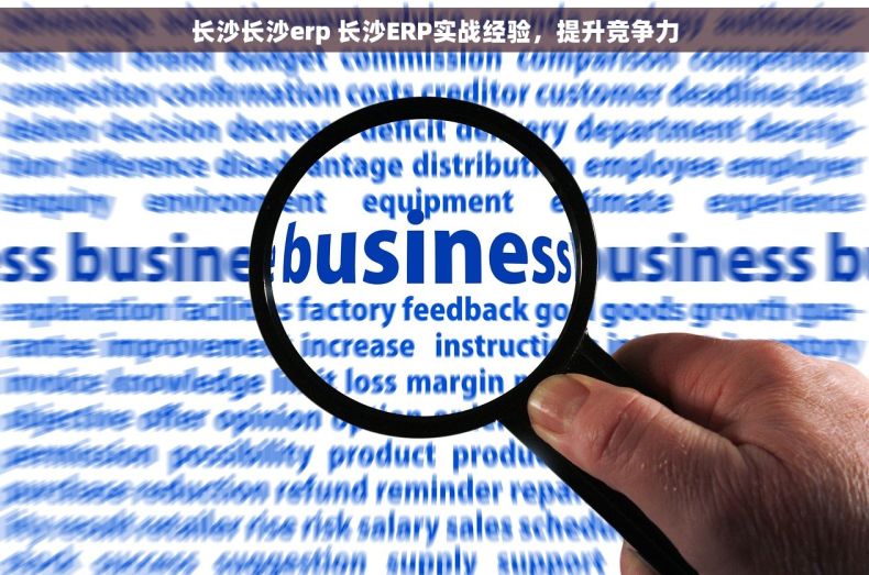 长沙长沙erp 长沙ERP实战经验,提升竞争力 长沙长沙erp 长沙ERP实战经验,提升竞争力