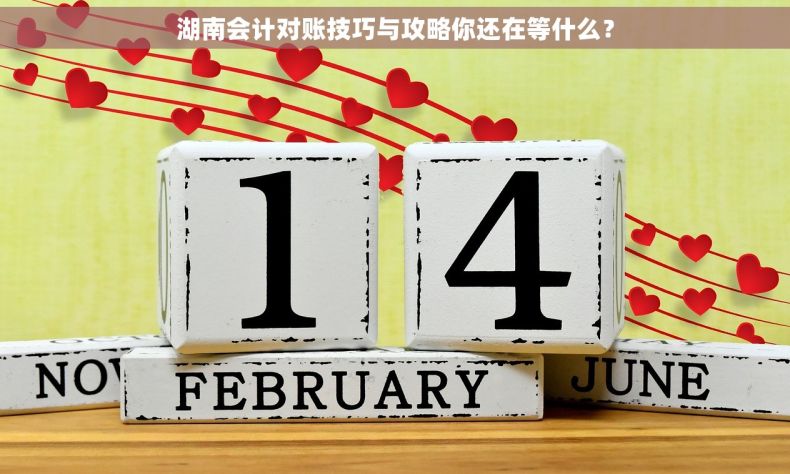 湖南会计对账技巧与攻略你还在等什么？