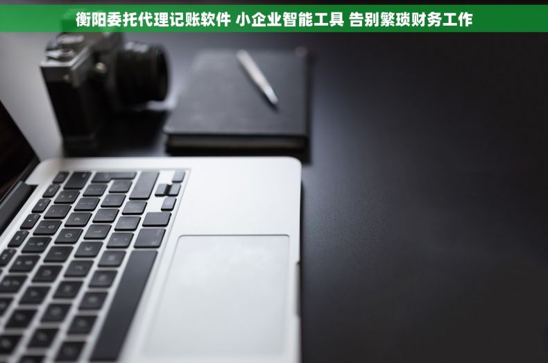 衡阳委托代理记账软件 小企业智能工具 告别繁琐财务工作 衡阳委托代理记账软件 小企业智能工具 告别繁琐财务工作