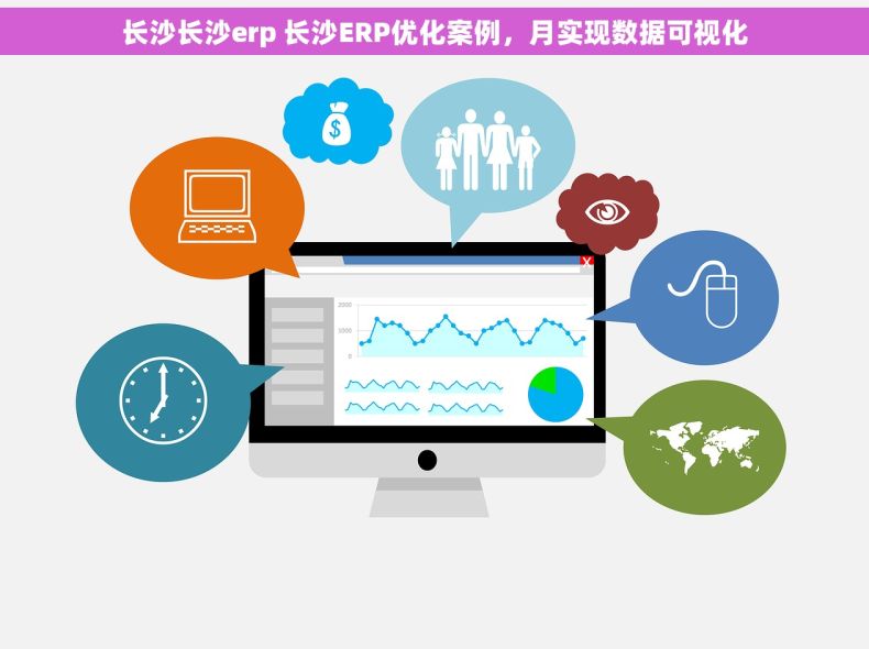 长沙长沙erp 长沙ERP优化案例，月实现数据可视化