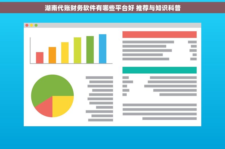 湖南代账财务软件有哪些平台好 推荐与知识科普