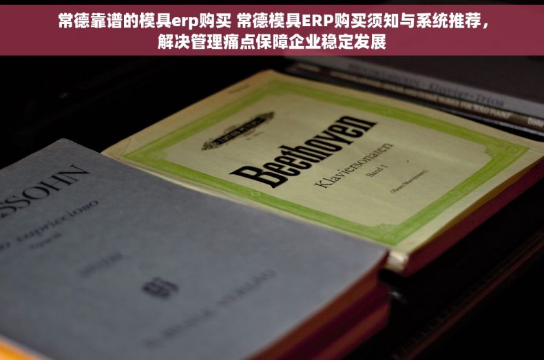 常德靠谱的模具erp购买 常德模具ERP购买须知与系统推荐,解决管理痛点保障企业稳定发展 常德靠谱的模具erp购买 常德模具ERP购买须知与系统推荐,解决管理痛点保障企业稳定发展