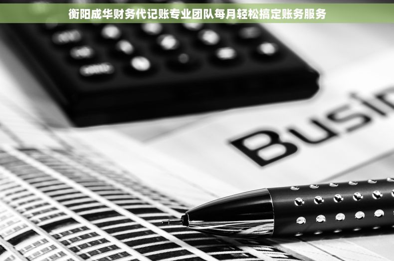 衡阳成华财务代记账专业团队每月轻松搞定账务服务