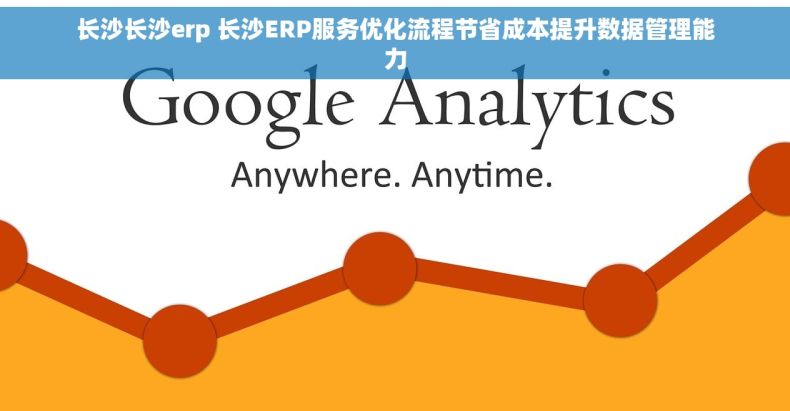 长沙长沙erp 长沙ERP服务优化流程节省成本提升数据管理能力