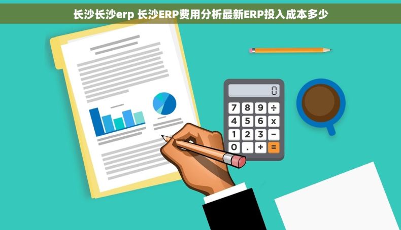 长沙长沙erp 长沙ERP费用分析最新ERP投入成本多少