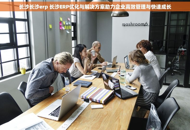 长沙长沙erp 长沙ERP优化与解决方案助力企业高效管理与快速成长