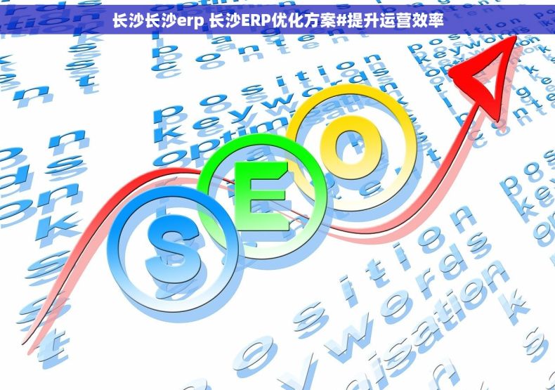 长沙长沙erp 长沙ERP优化方案#提升运营效率