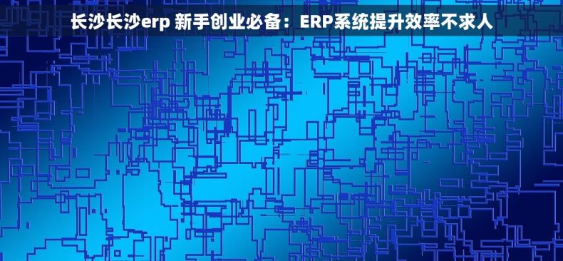 长沙长沙erp 新手创业必备：ERP系统提升效率不求人