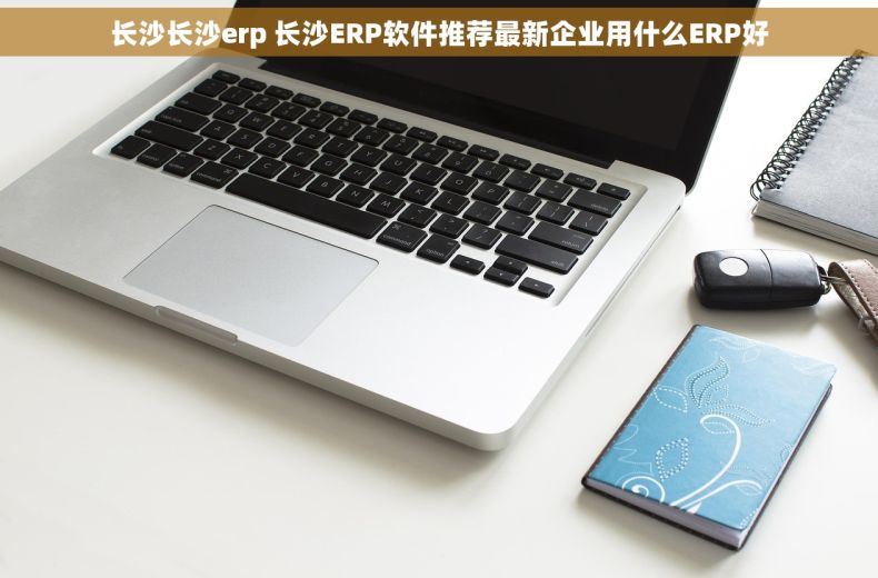 长沙长沙erp 长沙ERP软件推荐最新企业用什么ERP好
