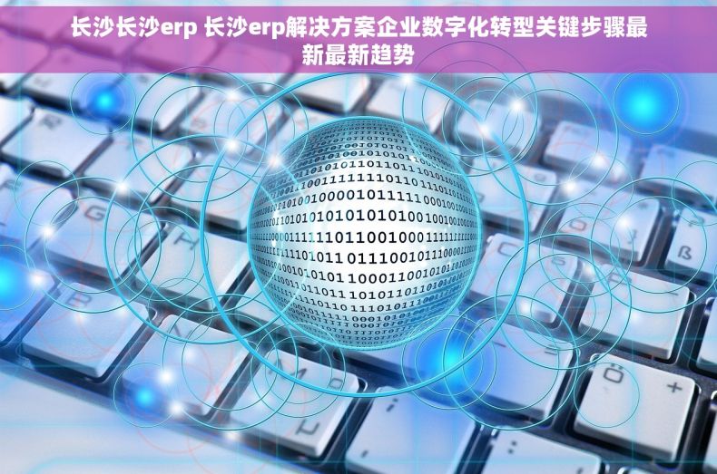 长沙长沙erp 长沙erp解决方案企业数字化转型关键步骤最新最新趋势 长沙长沙erp 长沙erp解决方案企业数字化转型关键步骤最新最新趋势