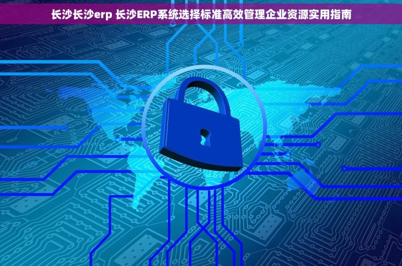 长沙长沙erp 长沙ERP系统选择标准高效管理企业资源实用指南