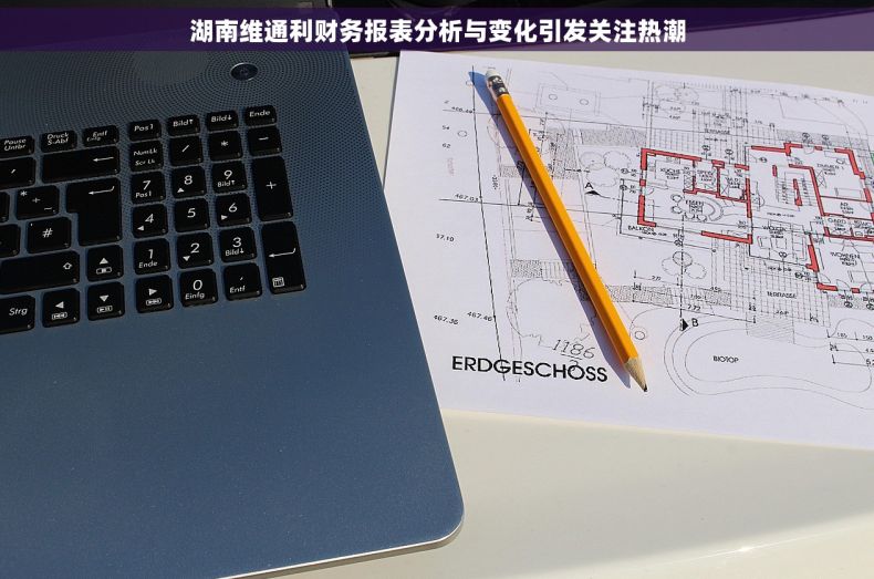 湖南维通利财务报表分析与变化引发关注热潮