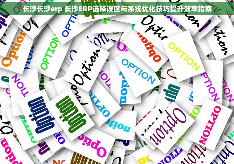 长沙长沙erp 长沙ERP选择误区与系统优化技巧提升效率指南