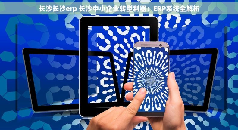 长沙长沙erp 长沙中小企业转型利器:ERP系统全解析 长沙长沙erp 长沙中小企业转型利器:ERP系统全解析