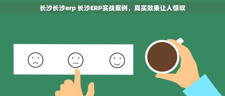 长沙长沙erp 长沙ERP实战案例，真实效果让人惊叹