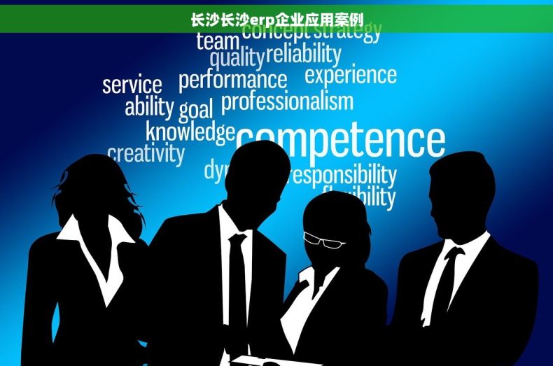 长沙长沙erp企业应用案例