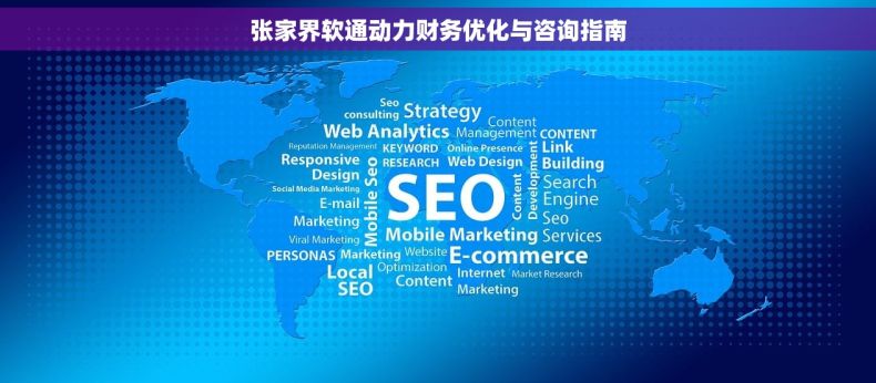 张家界软通动力财务优化与咨询指南