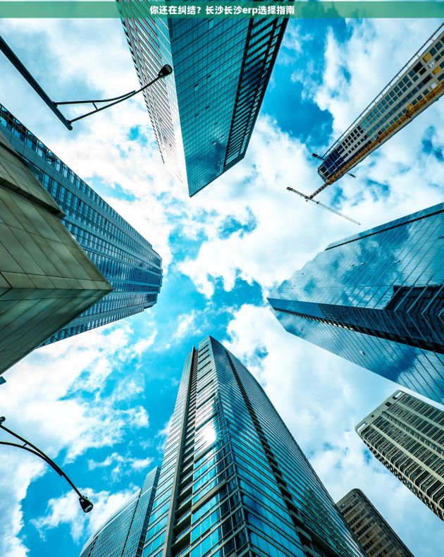 你还在纠结?长沙长沙erp选择指南 你还在纠结?长沙长沙erp选择指南