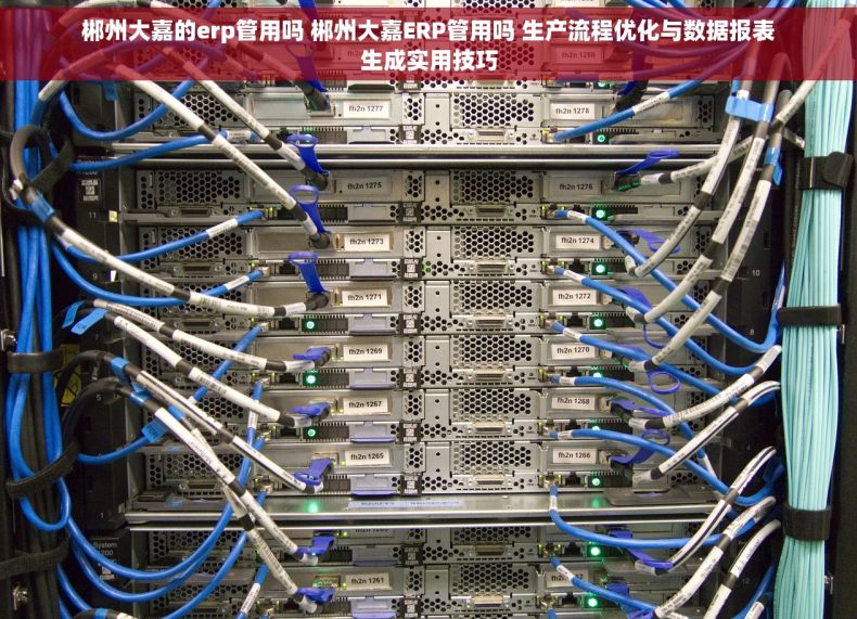 郴州大嘉的erp管用吗 郴州大嘉ERP管用吗 生产流程优化与数据报表生成实用技巧 郴州大嘉的erp管用吗 郴州大嘉ERP管用吗 生产流程优化与数据报表生成实用技巧