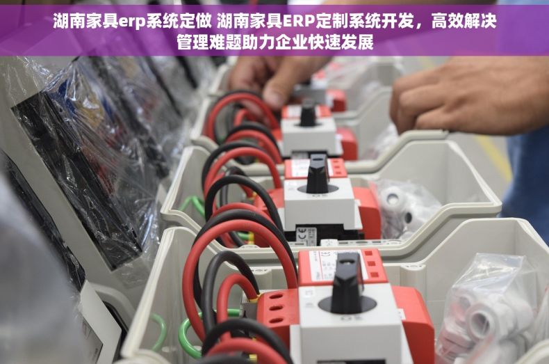 湖南家具erp系统定做 湖南家具ERP定制系统开发，高效解决管理难题助力企业快速发展