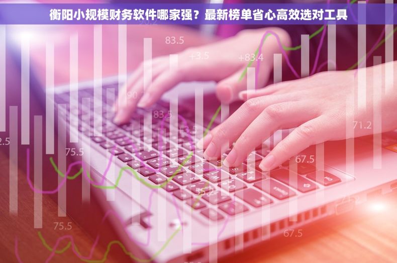 衡阳小规模财务软件哪家强？最新榜单省心高效选对工具