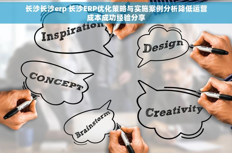 长沙长沙erp 长沙ERP优化策略与实施案例分析降低运营成本成功经验分享