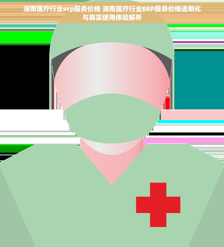 湖南医疗行业erp服务价格 湖南医疗行业ERP服务价格透明化与真实使用体验解析