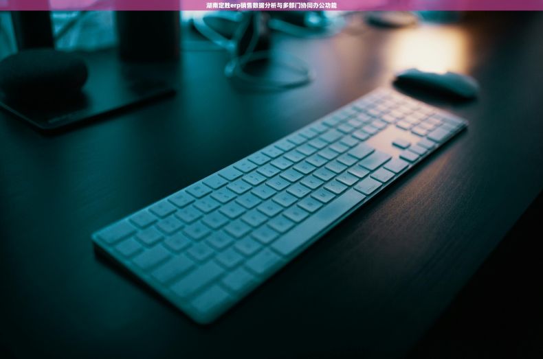 湖南定胜erp销售数据分析与多部门协同办公功能