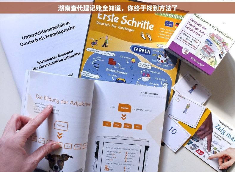 湖南查代理记账全知道，你终于找到方法了