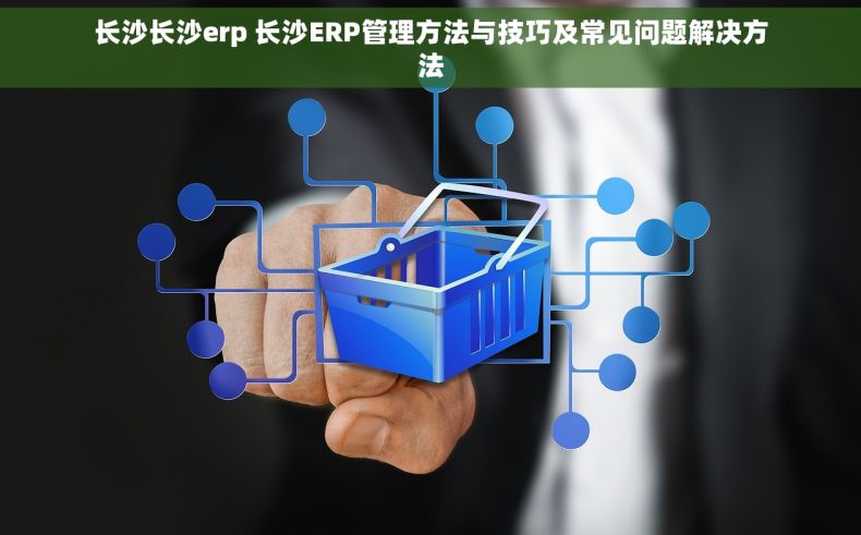 长沙长沙erp 长沙ERP管理方法与技巧及常见问题解决方法