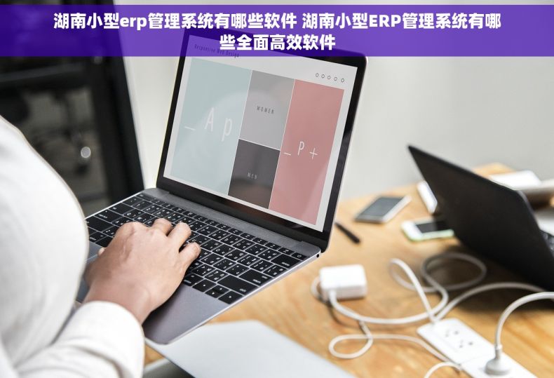 湖南小型erp管理系统有哪些软件 湖南小型ERP管理系统有哪些全面高效软件