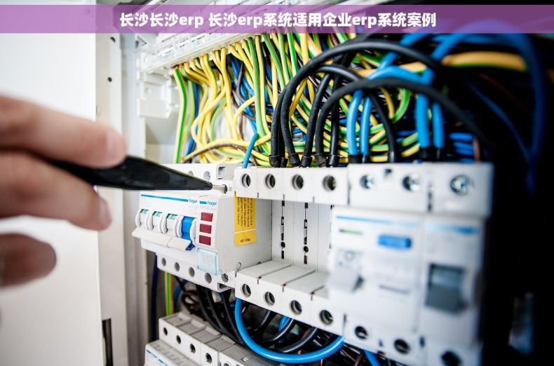 长沙长沙erp 长沙erp系统适用企业erp系统案例
