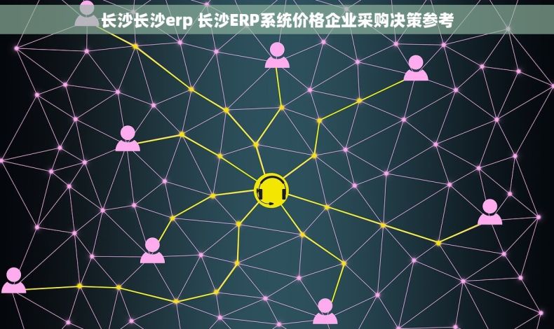 长沙长沙erp 长沙ERP系统价格企业采购决策参考