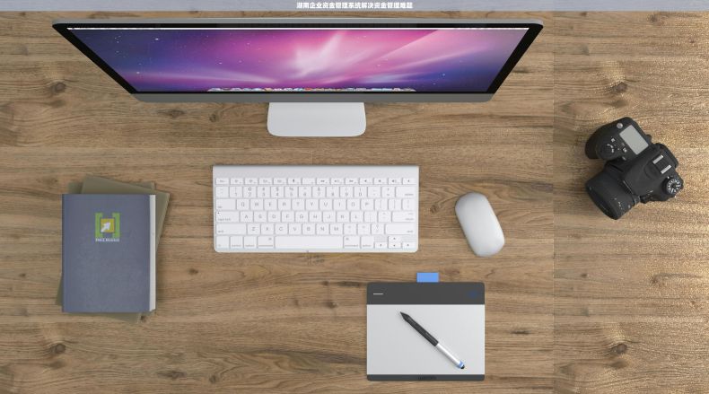 湖南企业资金管理系统解决资金管理难题