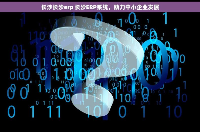 长沙长沙erp 长沙ERP系统，助力中小企业发展