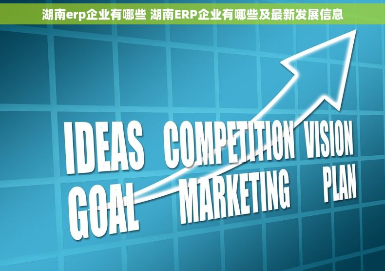 湖南erp企业有哪些 湖南ERP企业有哪些及最新发展信息