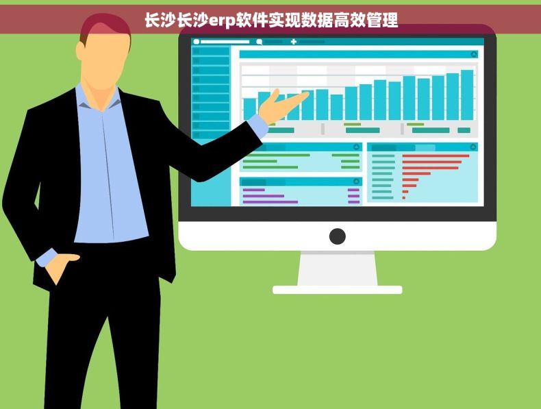 长沙长沙erp软件实现数据高效管理