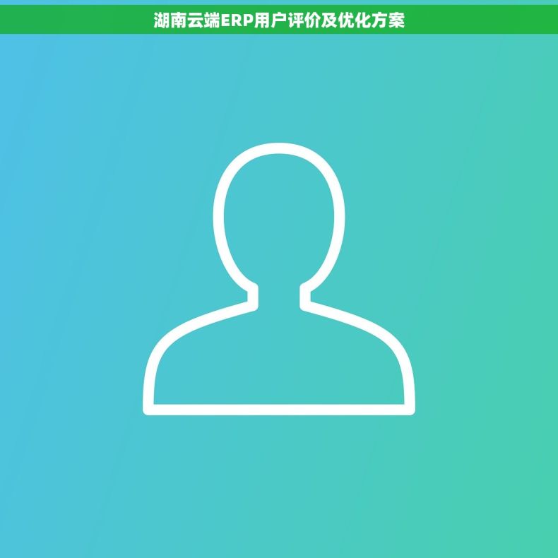 湖南云端ERP用户评价及优化方案