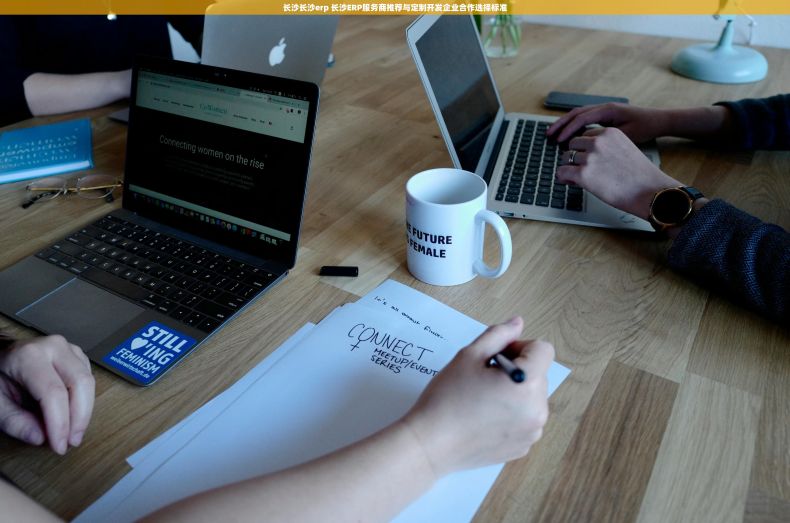 长沙长沙erp 长沙ERP服务商推荐与定制开发企业合作选择标准