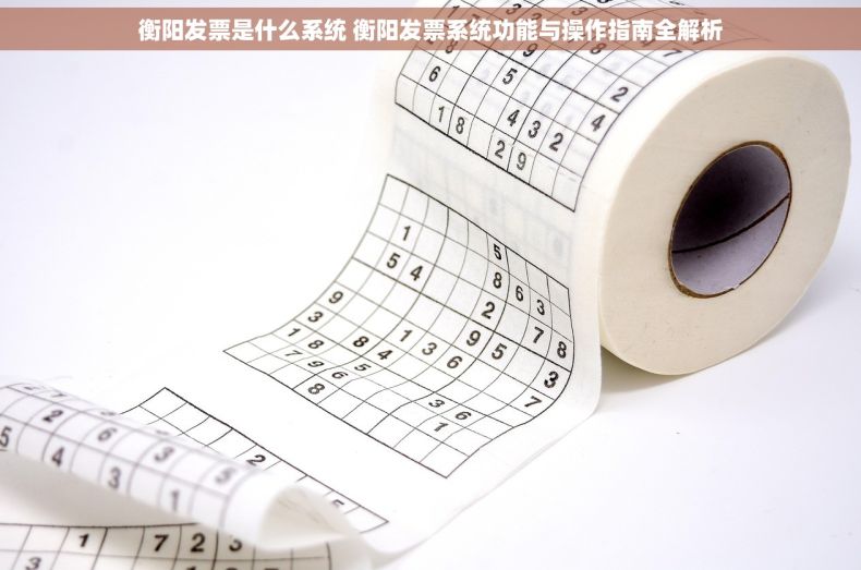 衡阳发票是什么系统 衡阳发票系统功能与操作指南全解析 衡阳发票是什么系统 衡阳发票系统功能与操作指南全解析