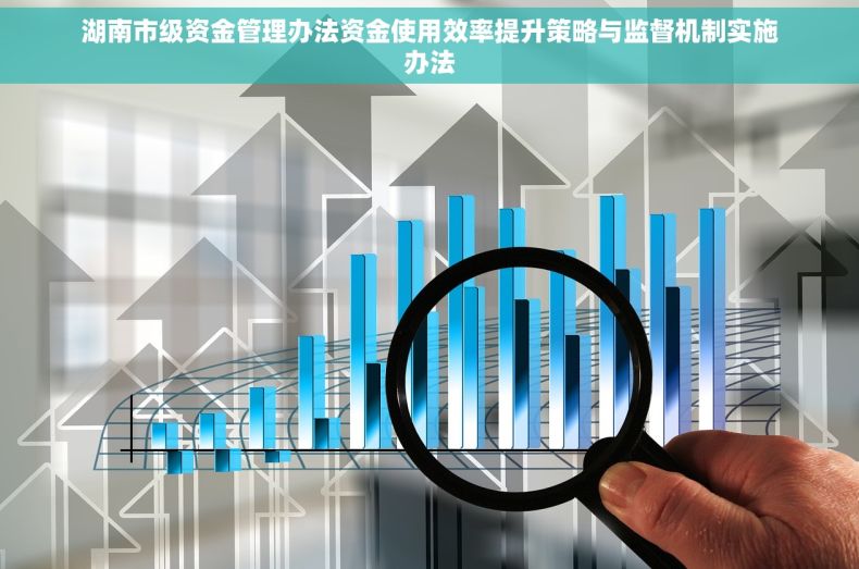 湖南市级资金管理办法资金使用效率提升策略与监督机制实施办法