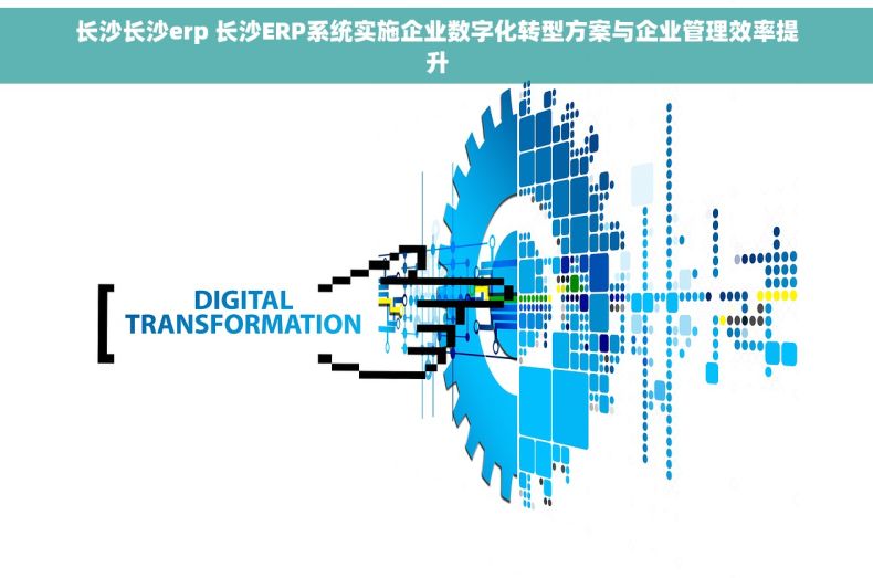长沙长沙erp 长沙ERP系统实施企业数字化转型方案与企业管理效率提升