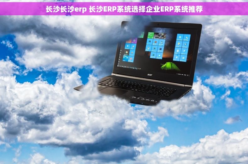长沙长沙erp 长沙ERP系统选择企业ERP系统推荐