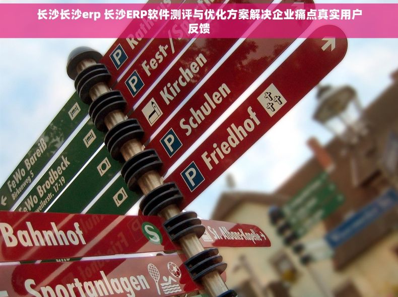 长沙长沙erp 长沙ERP软件测评与优化方案解决企业痛点真实用户反馈