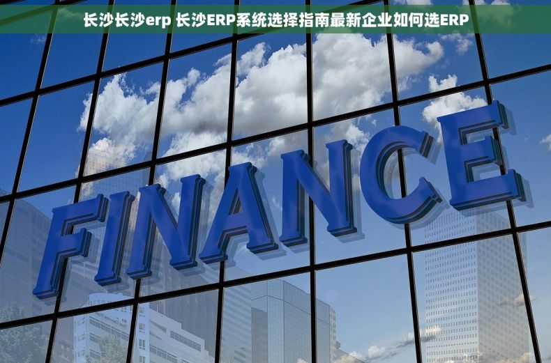 长沙长沙erp 长沙ERP系统选择指南最新企业如何选ERP